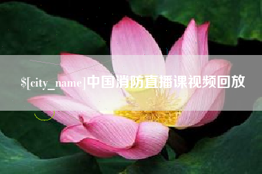 孝感中国消防直播课视频回放