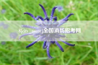 孝感全国消防招考网