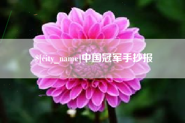 孝感中国冠军手抄报