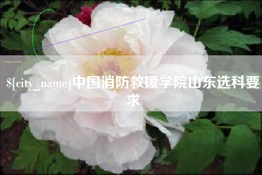 孝感中国消防救援学院山东选科要求