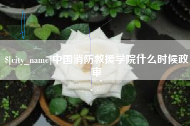 孝感中国消防救援学院什么时候政审