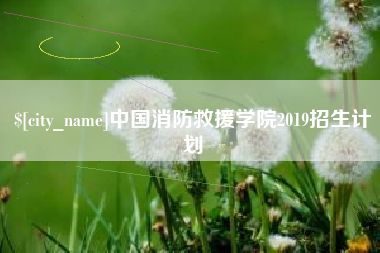 孝感中国消防救援学院2019招生计划