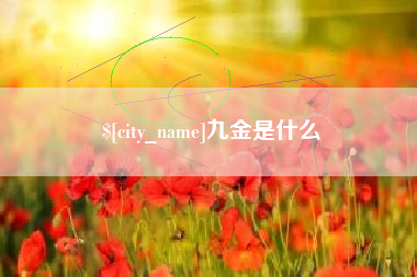 孝感九金是什么