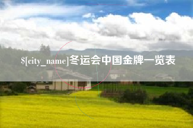 孝感冬运会中国金牌一览表