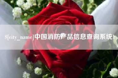 孝感中国消防产品信息查询系统1