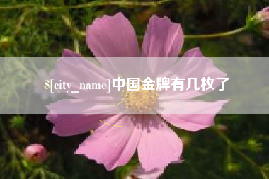 孝感中国金牌有几枚了