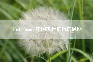 孝感中国执行执行信息网