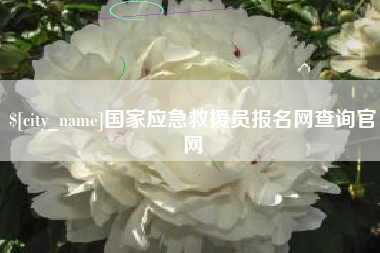 孝感国家应急救援员报名网查询官网