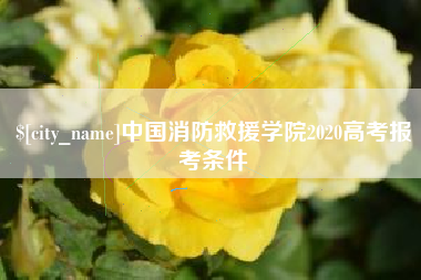 孝感中国消防救援学院2020高考报考条件