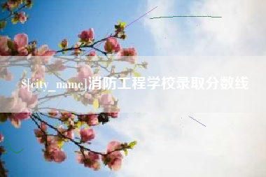 孝感消防工程学校录取分数线