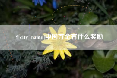 孝感中国夺金有什么奖励