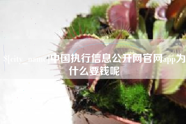 孝感中国执行信息公开网官网app为什么要钱呢