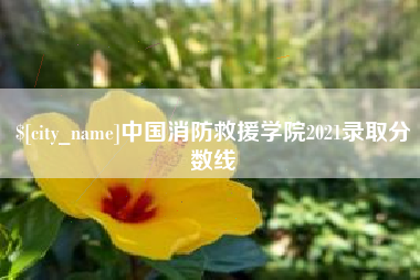 孝感中国消防救援学院2021录取分数线