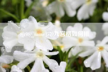孝感579九宫格如何排