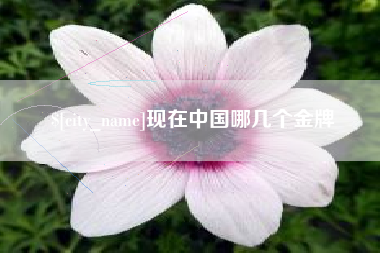 孝感现在中国哪几个金牌