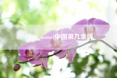 孝感中国第九金牌