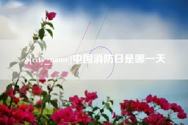孝感中国消防日是哪一天