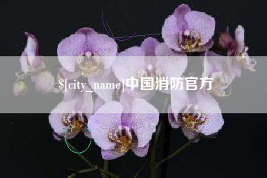 孝感中国消防官方
