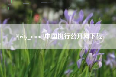 孝感中国执行公开网下载