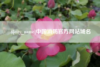 孝感中国消防官方网站域名