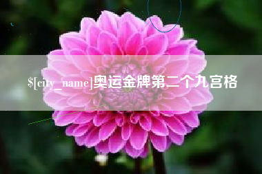 孝感奥运金牌第二个九宫格