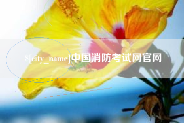 孝感中国消防考试网官网