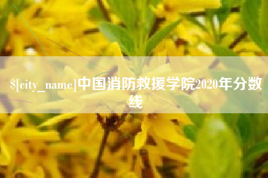 孝感中国消防救援学院2020年分数线