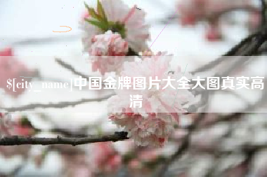 孝感中国金牌图片大全大图真实高清