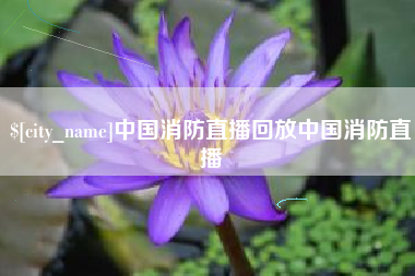 孝感中国消防直播回放中国消防直播