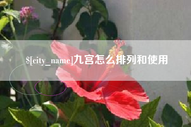 孝感九宫怎么排列和使用