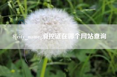 孝感消控证在哪个网站查询