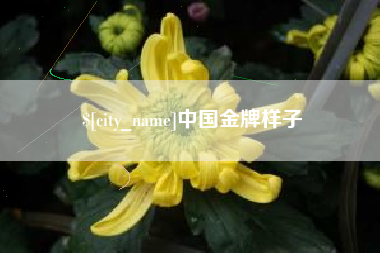 孝感中国金牌样子
