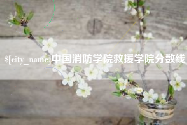 孝感中国消防学院救援学院分数线