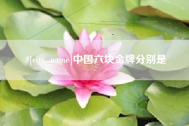 孝感中国六块金牌分别是