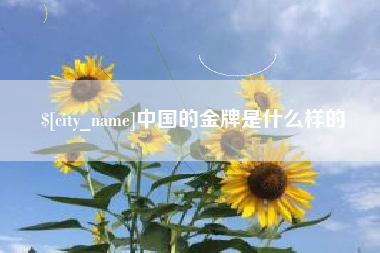 孝感中国的金牌是什么样的