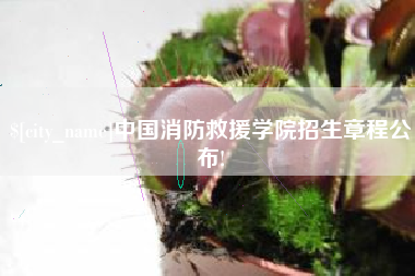 孝感中国消防救援学院招生章程公布!