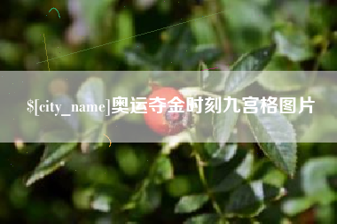 孝感奥运夺金时刻九宫格图片