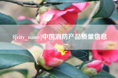 孝感中国消防产品质量信息