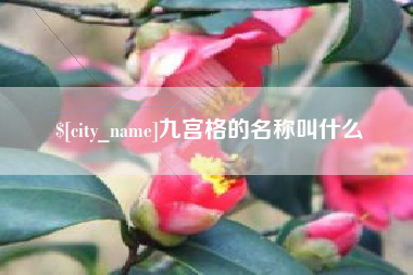 孝感九宫格的名称叫什么