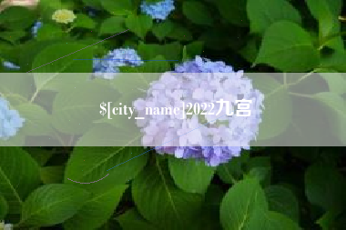 孝感2022九宫