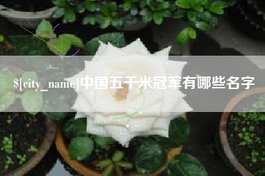 孝感中国五千米冠军有哪些名字