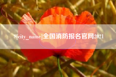 孝感全国消防报名官网2021