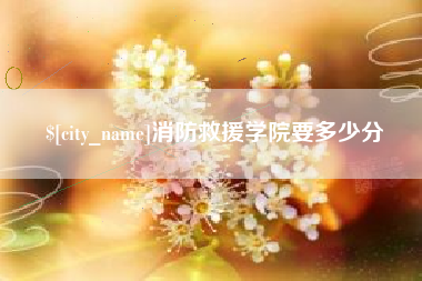 孝感消防救援学院要多少分