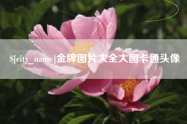 孝感金牌图片大全大图卡通头像