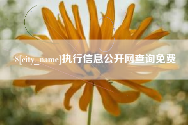 孝感执行信息公开网查询免费