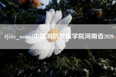 孝感中国消防救援学院河南省2020
